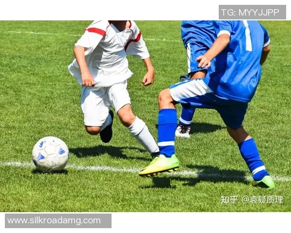 全面解析足球训练装备的种类与选择技巧助你提升训练效果