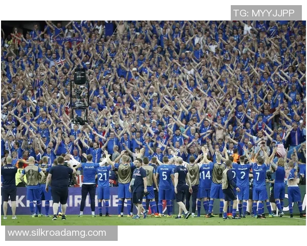 冰岛足球防守战术解析与球队整体防守能力提升探讨